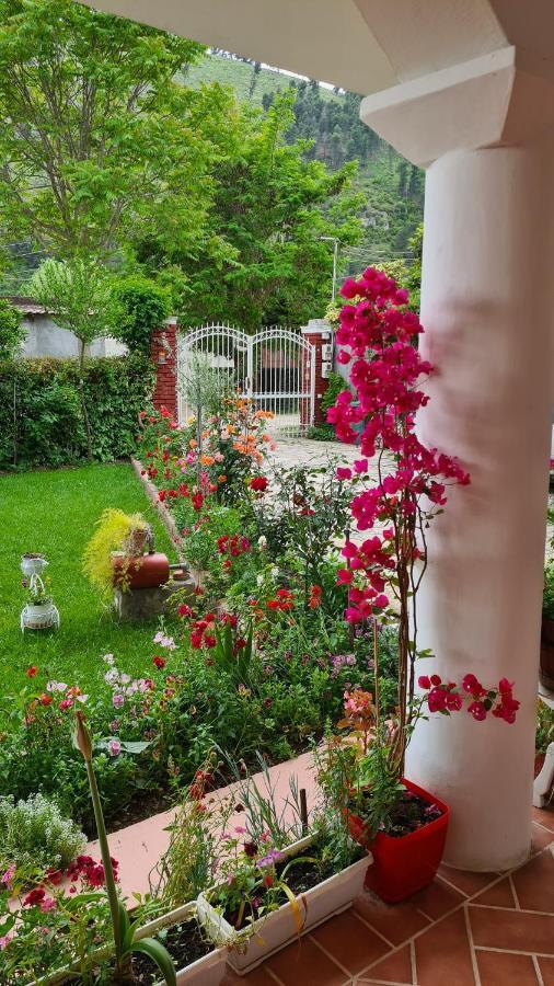 Veranda B&B Berat Exterior foto